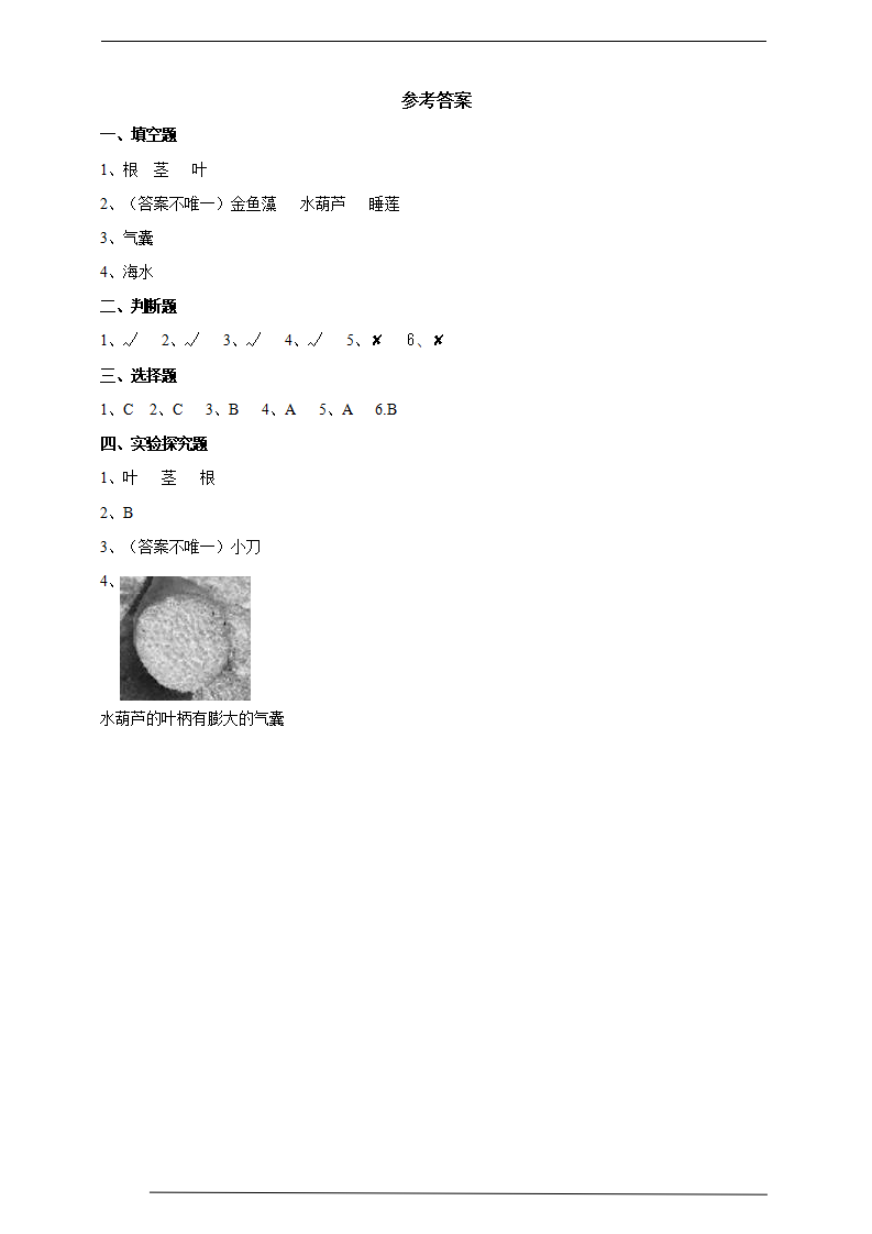 苏教版（2019）科学三年级下2.7《水里的植物》练习_03.png