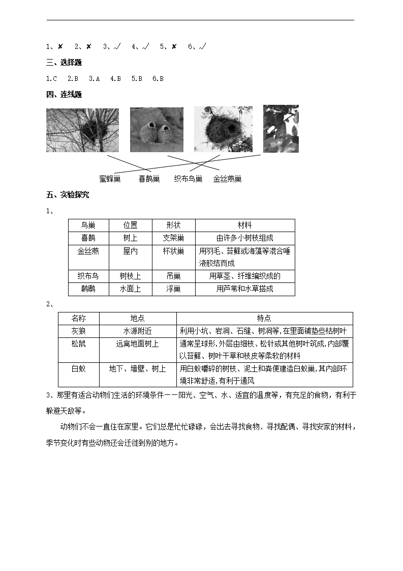 5.16《动物的庇护所》练习_03.png