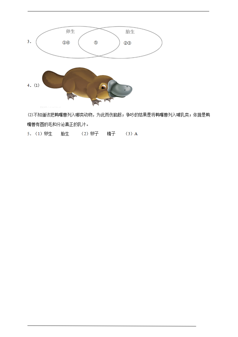 4.14《动物的繁殖》练习_07.png