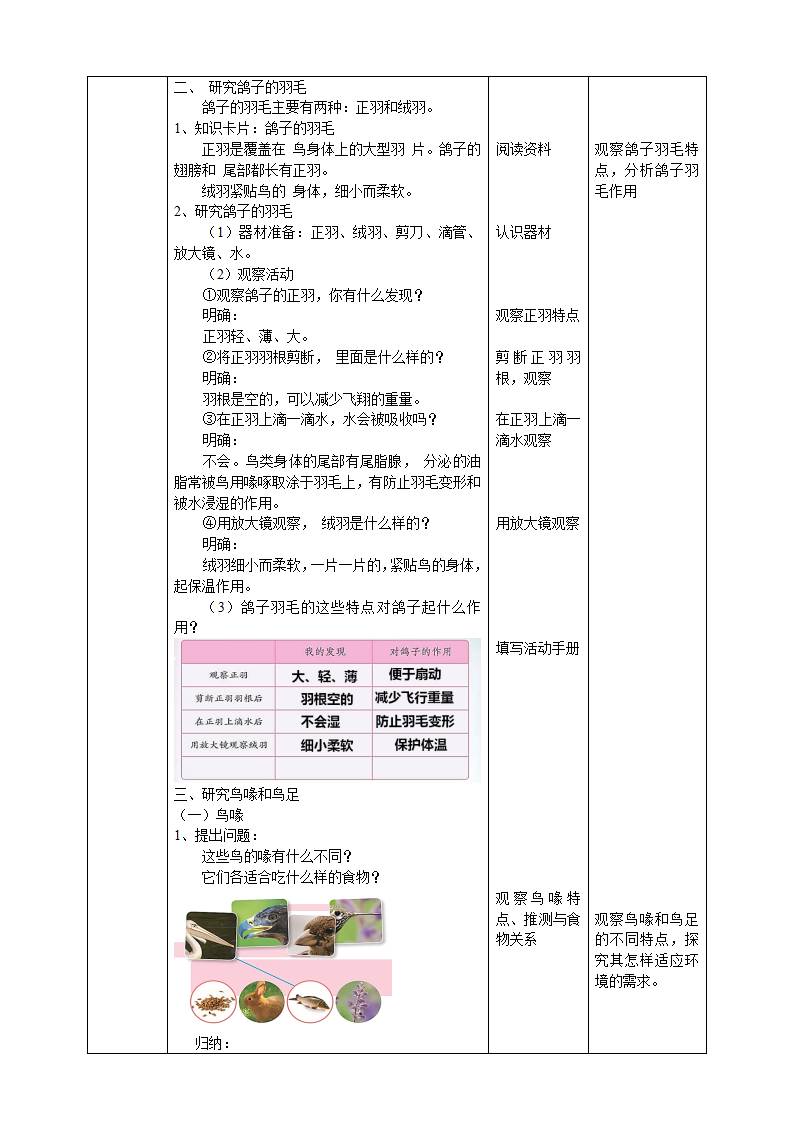 1.3《鸟类》教案_02.png