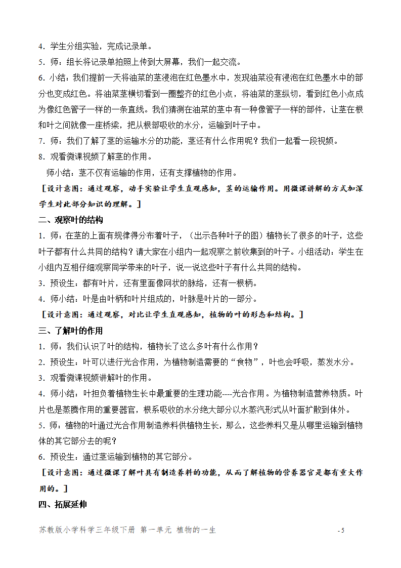 2.幼苗长大了（福建  陈慕晗）（第二课时）_05.png