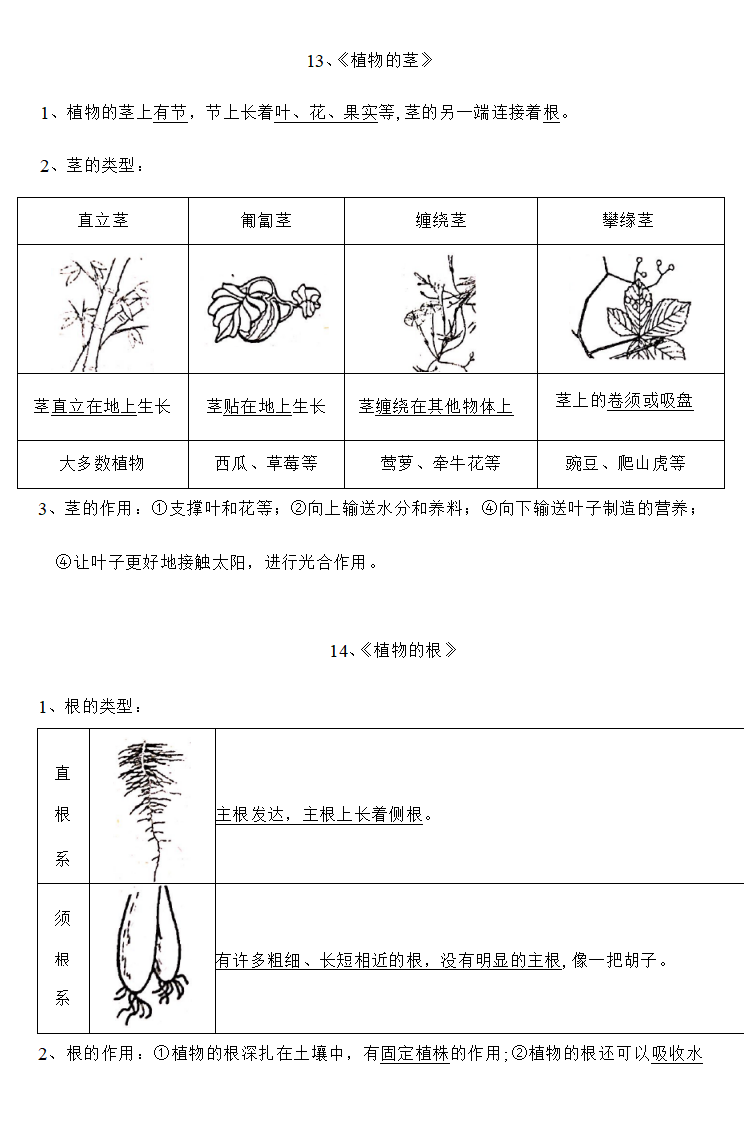 粤教版三年级第二学期科学复习资料（六）_01.png