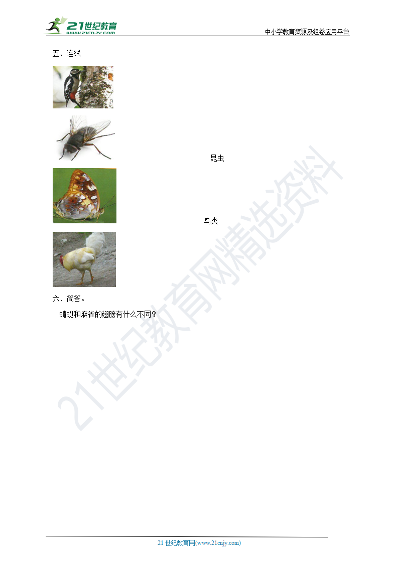 1.2《蜻蜓与麻雀》（同步练习）_02.png