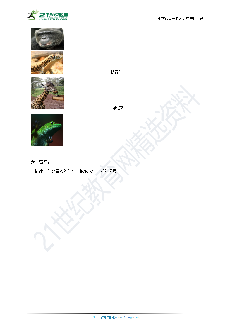 粤教版科学三上1.3《壁虎与小猫》（同步练习）_02.png