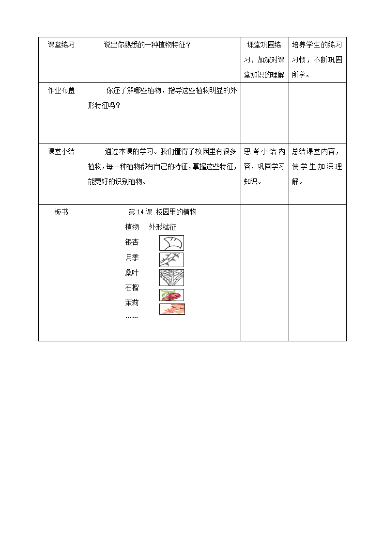 14：校园里的植物（教案）_03.png