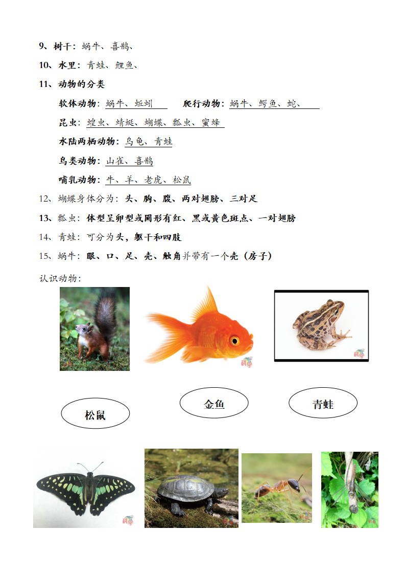 粤教版一年级下册科学期末知识梳理题汇总_12.png
