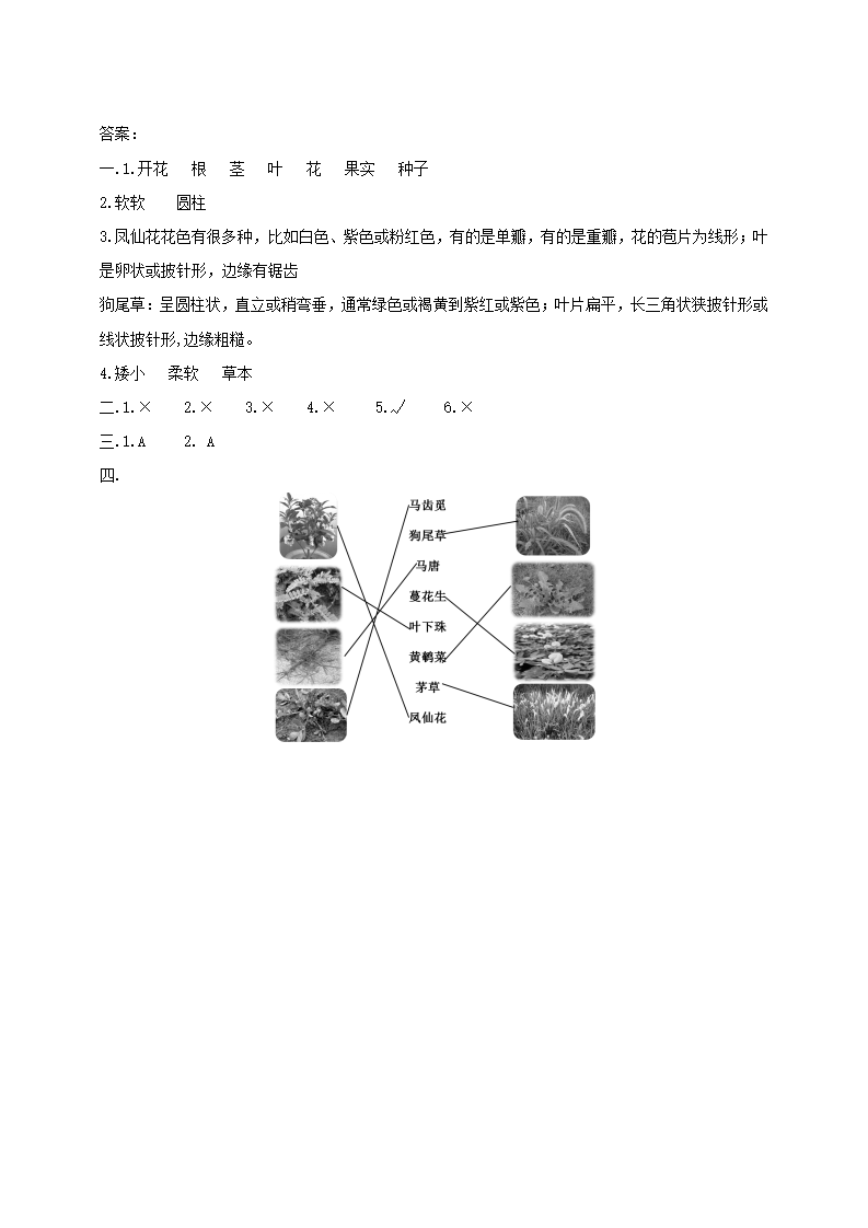 第03课时《凤仙花和狗尾草》练习_03.png