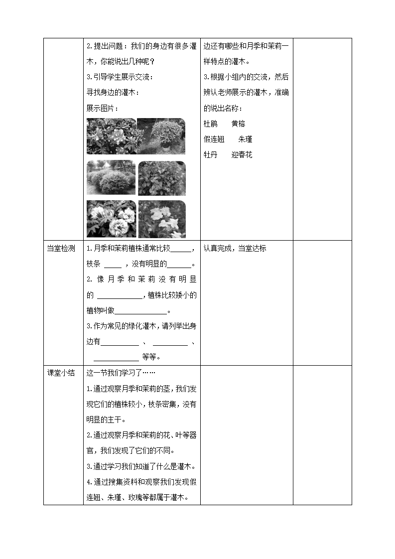 第02课时《月季和茉莉》教案_04.png
