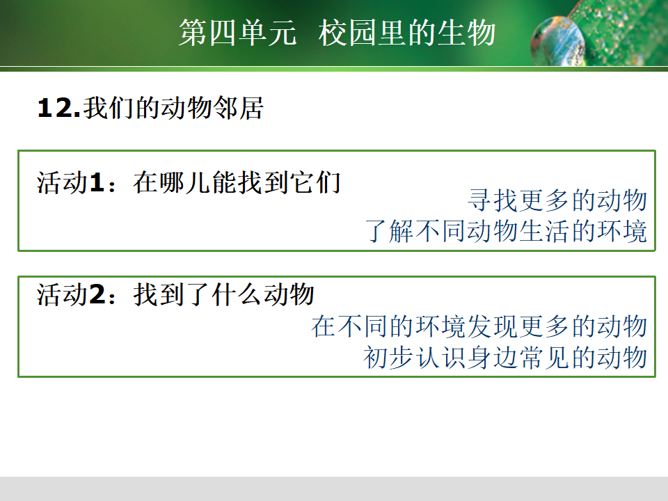 粤教粤科版科学一年级下册教材分析（52张ppt）_42.png
