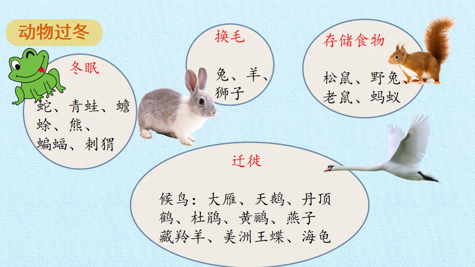 第4单元四季复习课件-粤教版共22张PPT_09.png