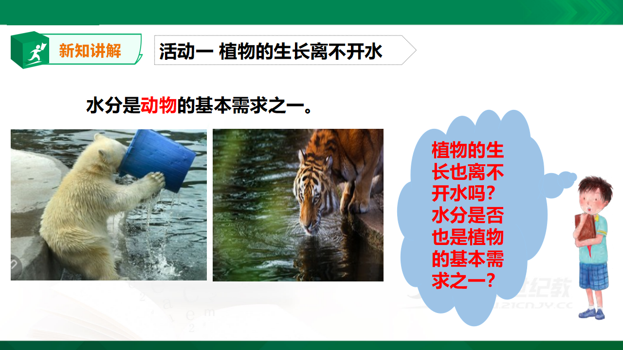 《植物需要水分》_04.png