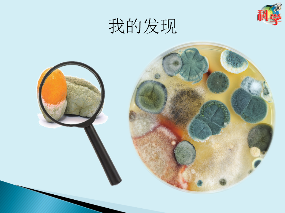 12：《发霉了》粤教版共20张_05.png