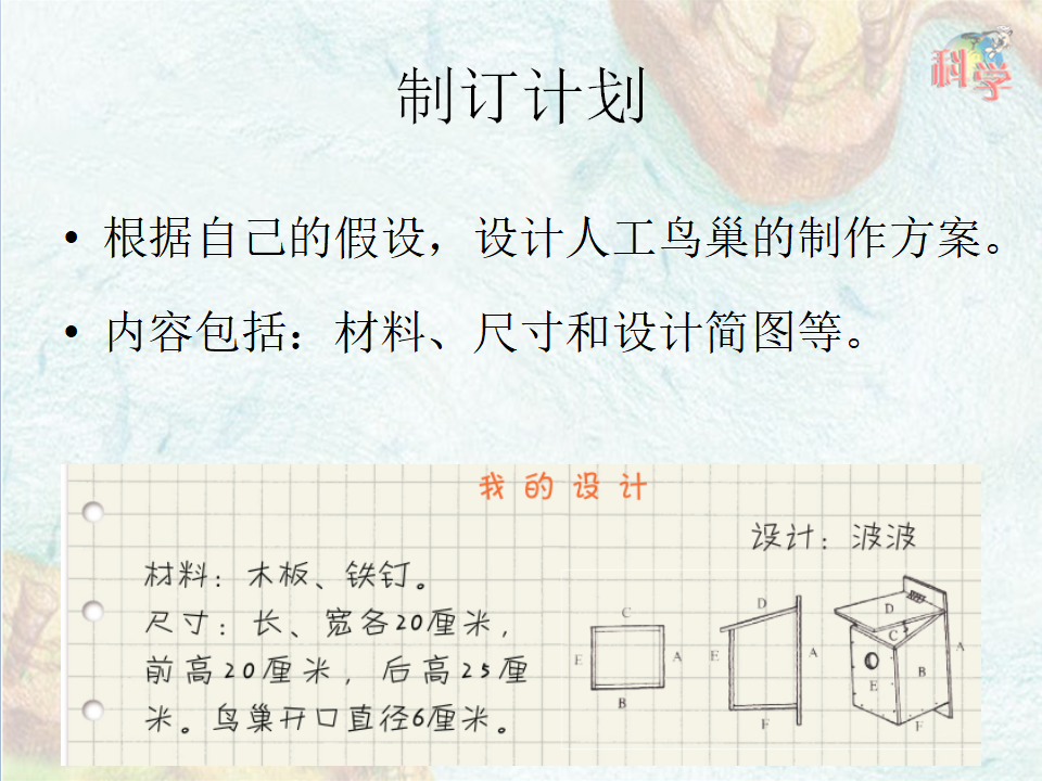 第13课《专题探究：帮鸟儿建个家》教学课件_12.png