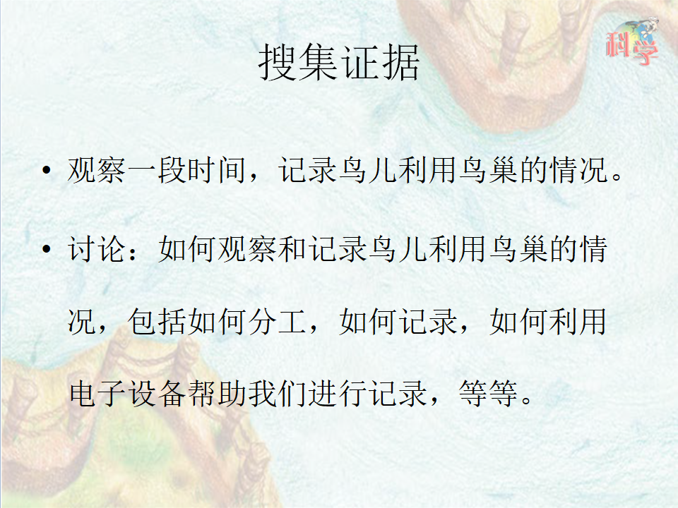 第13课《专题探究：帮鸟儿建个家》教学课件_21.png