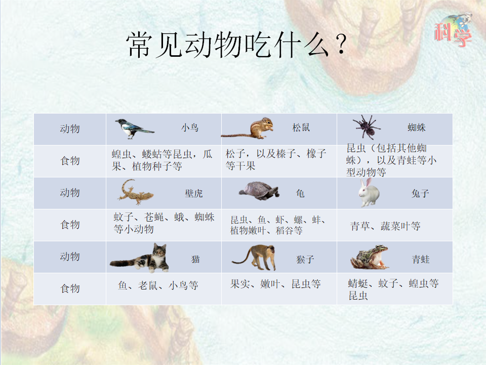 第10课《动物需要食物》教学课件_19.png