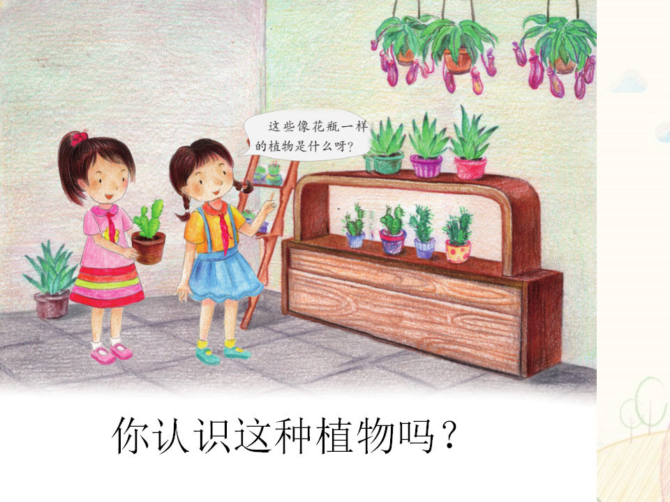 第07课 网上学习：有趣的植物 教学课件_02.png