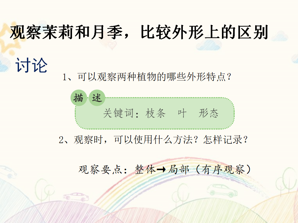 第02课 月季和茉莉 教学课件_06.png