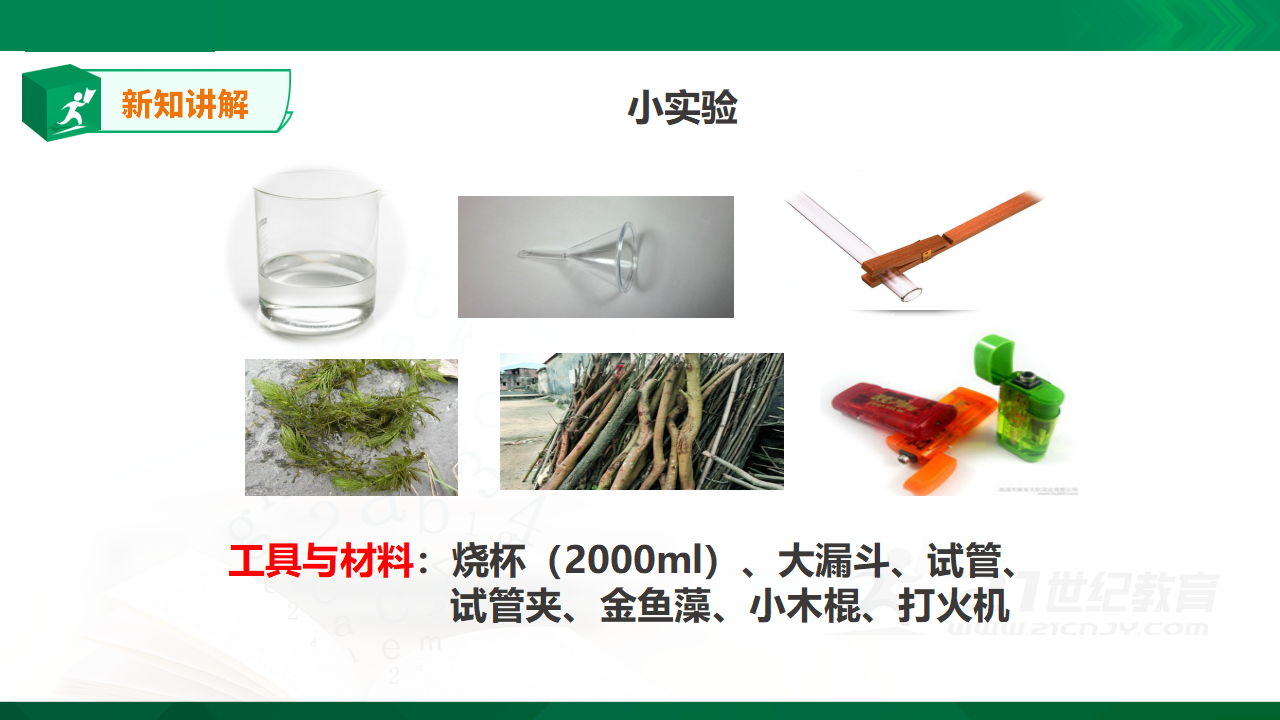 小学科学5年级上册1.7《植物能够利用阳光》_05.png
