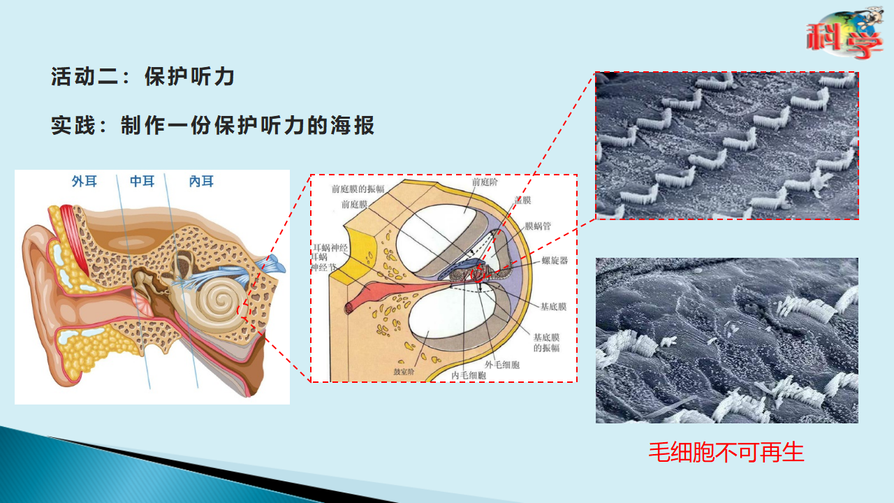 粤教粤科版科学四年级上册 第三单元《声音》教材分析 课件（53张PPT）_49.png