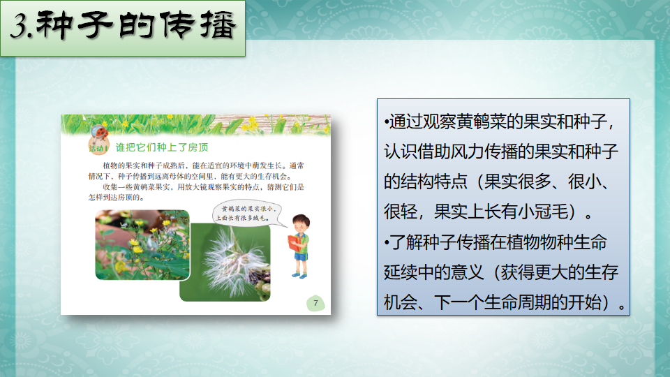 粤教粤科版科学四年级上册 第一单元《生命的延续》教材分析 课件（50张PPT）_26.png