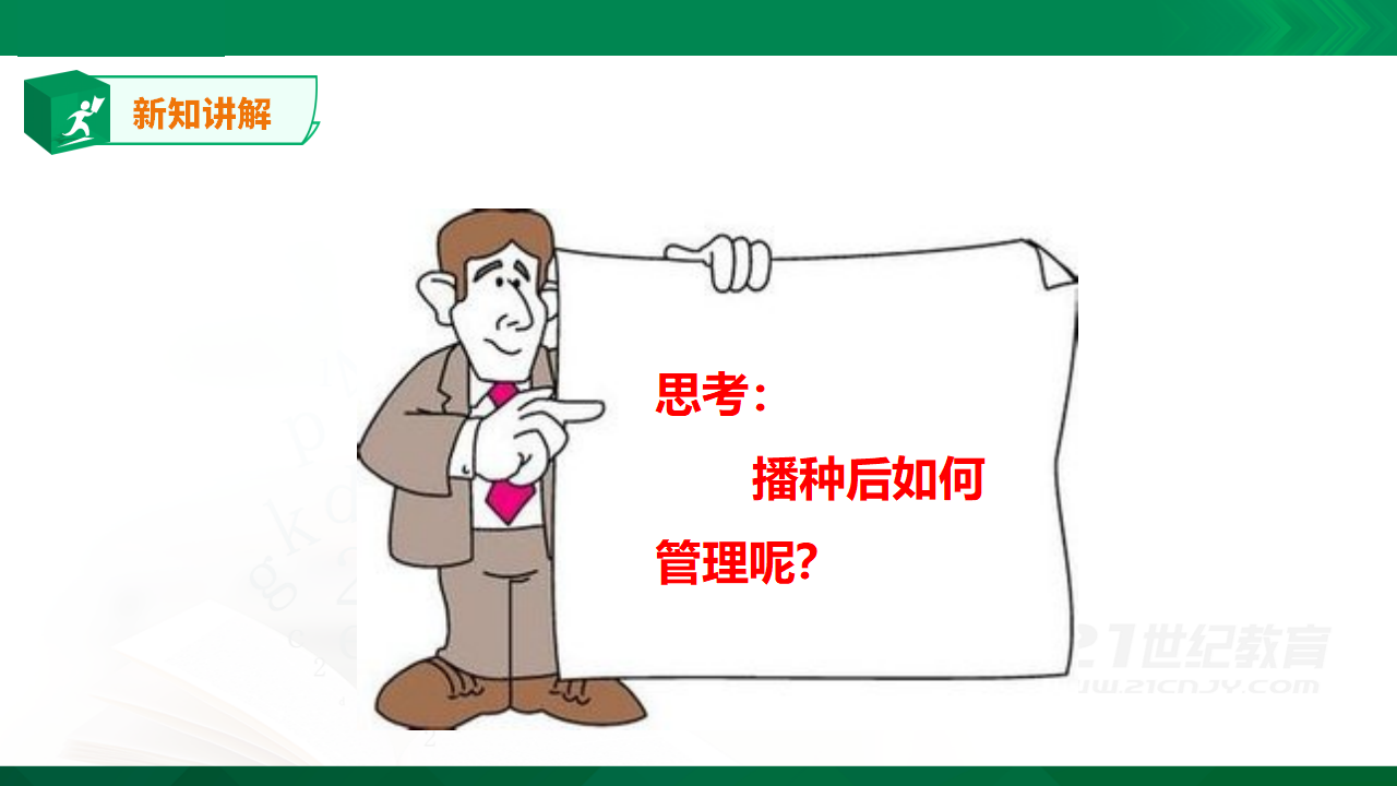 粤教粤科版小学科学四上第一单元第1课《种番茄》课件_14.png