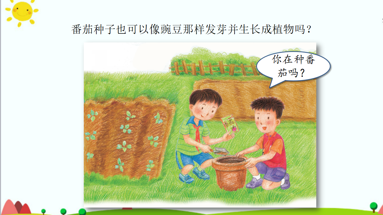 1.1《种番茄》课件（共26张PPT）_02.png