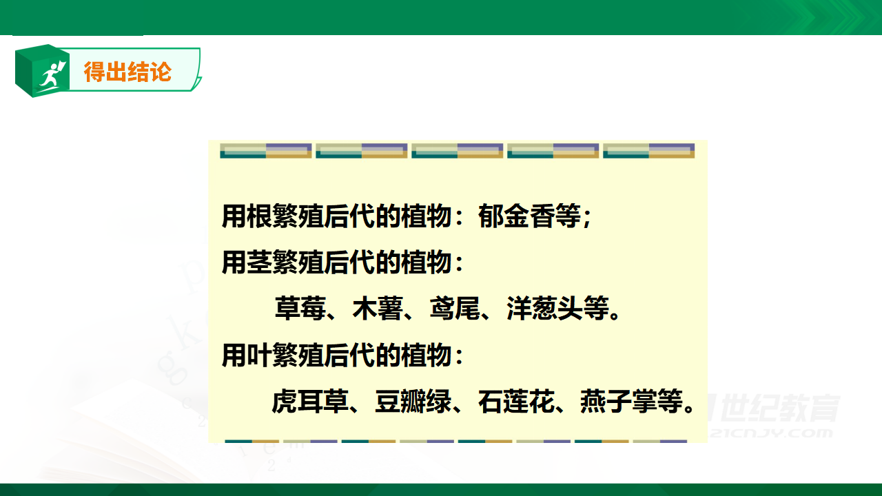 粤教粤科版小学科学四上第一单元第4课《专题探究：可以不用种子繁殖吗》课件_22.png
