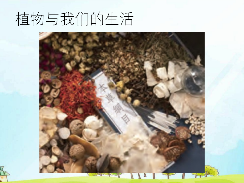 粤教版二年级下册科学第7课谁的蔬菜长得好课件PPT_25.png