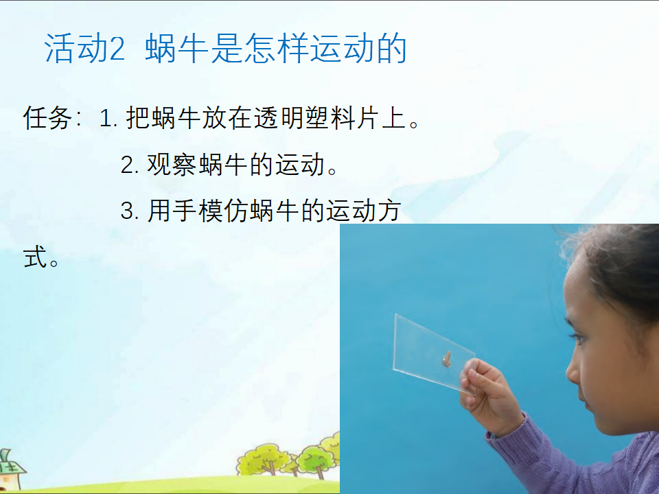粤教版二年级下册科学1菜叶上的蜗牛ppt课件_11.png