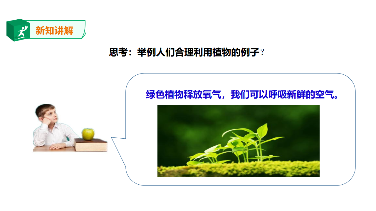 2.7 谁的蔬菜长得好（课件）_15.png