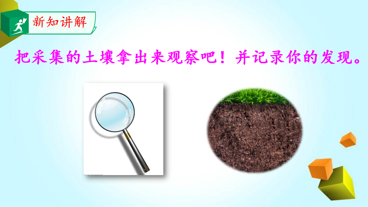 1.身边的土壤_14.png