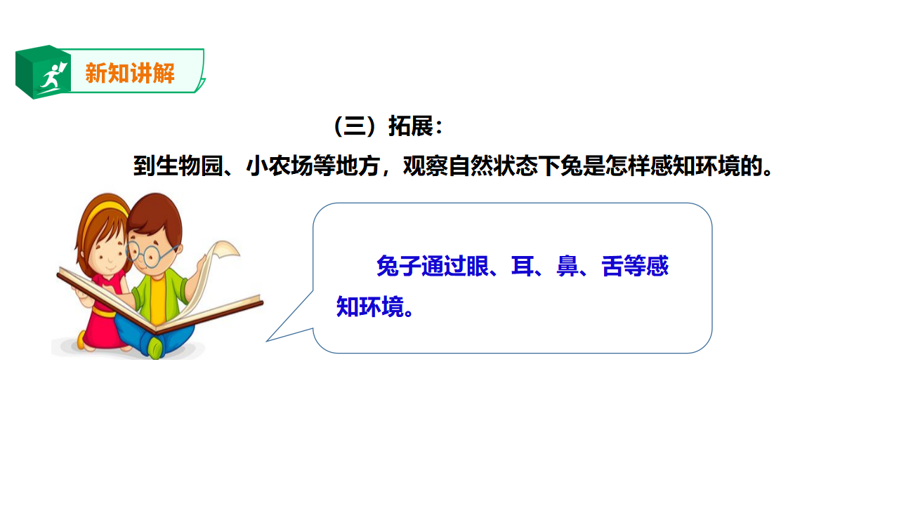 1.4家里的兔子（课件）_16.png