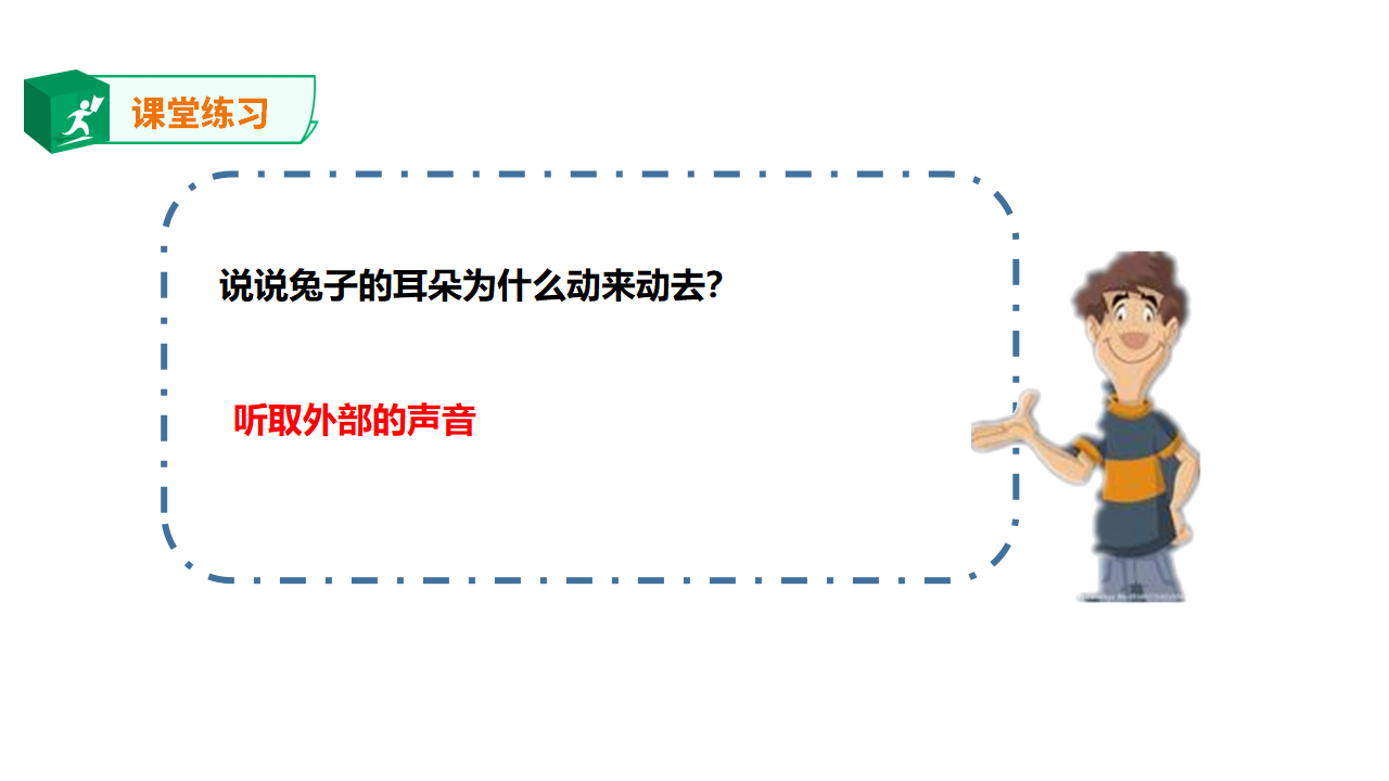 1.4家里的兔子（课件）_17.png