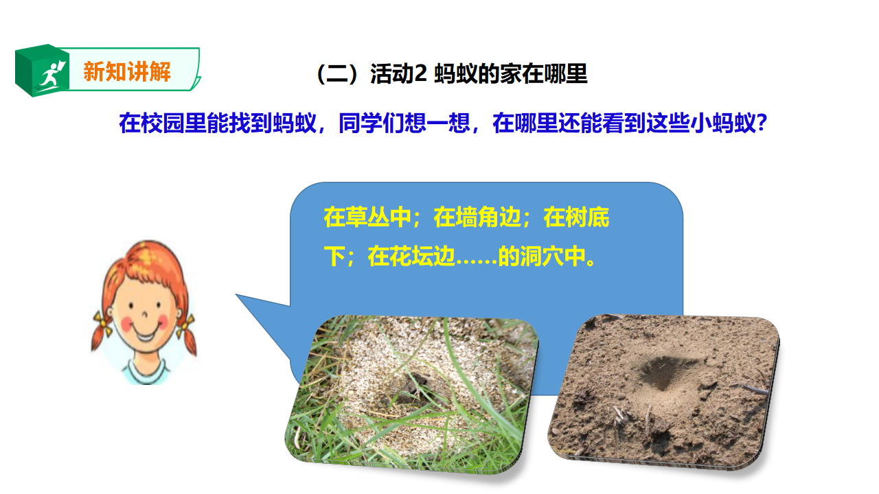 1.2 校园里的蚂蚁（课件）_09.png