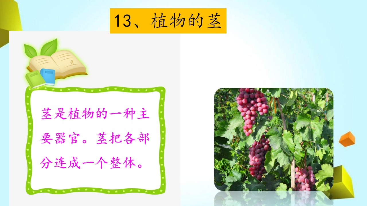 粤教粤科版科学三年级下册第3单元复习课件_10.png