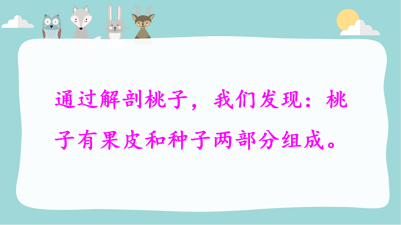粤教粤科版科学三年级下册第3单元复习课件_29.png