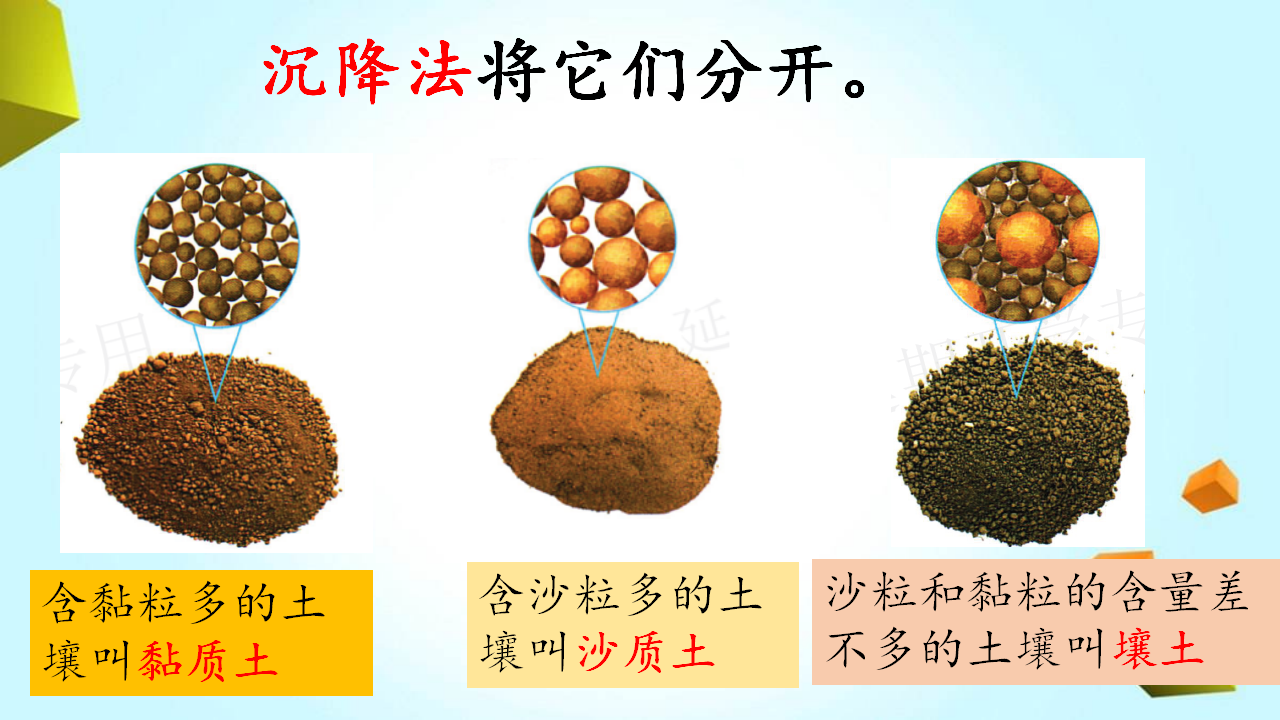 粤教粤科版科学三年级下册第1单元复习课件_09.png