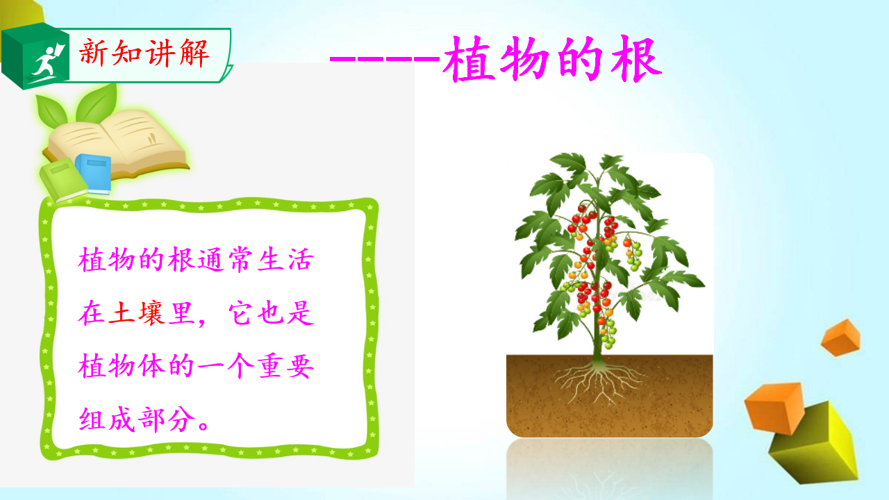 14.植物的根_03.png