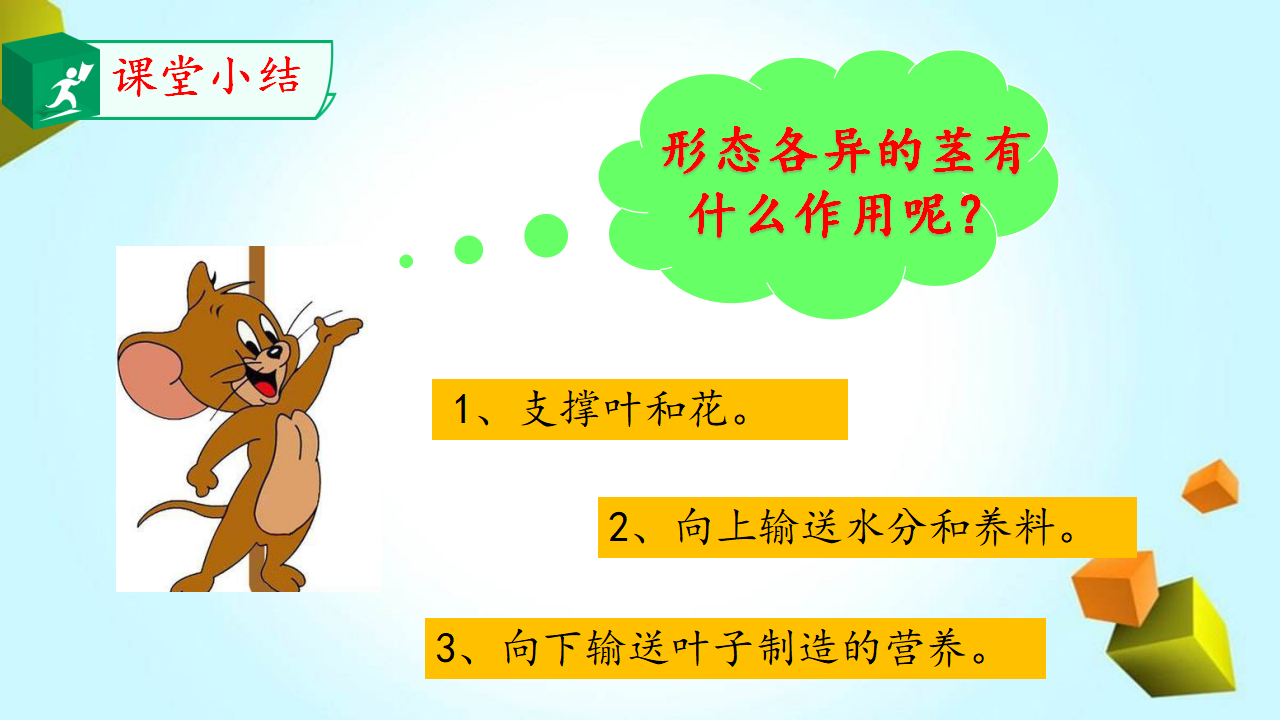 13.植物的茎_11.png