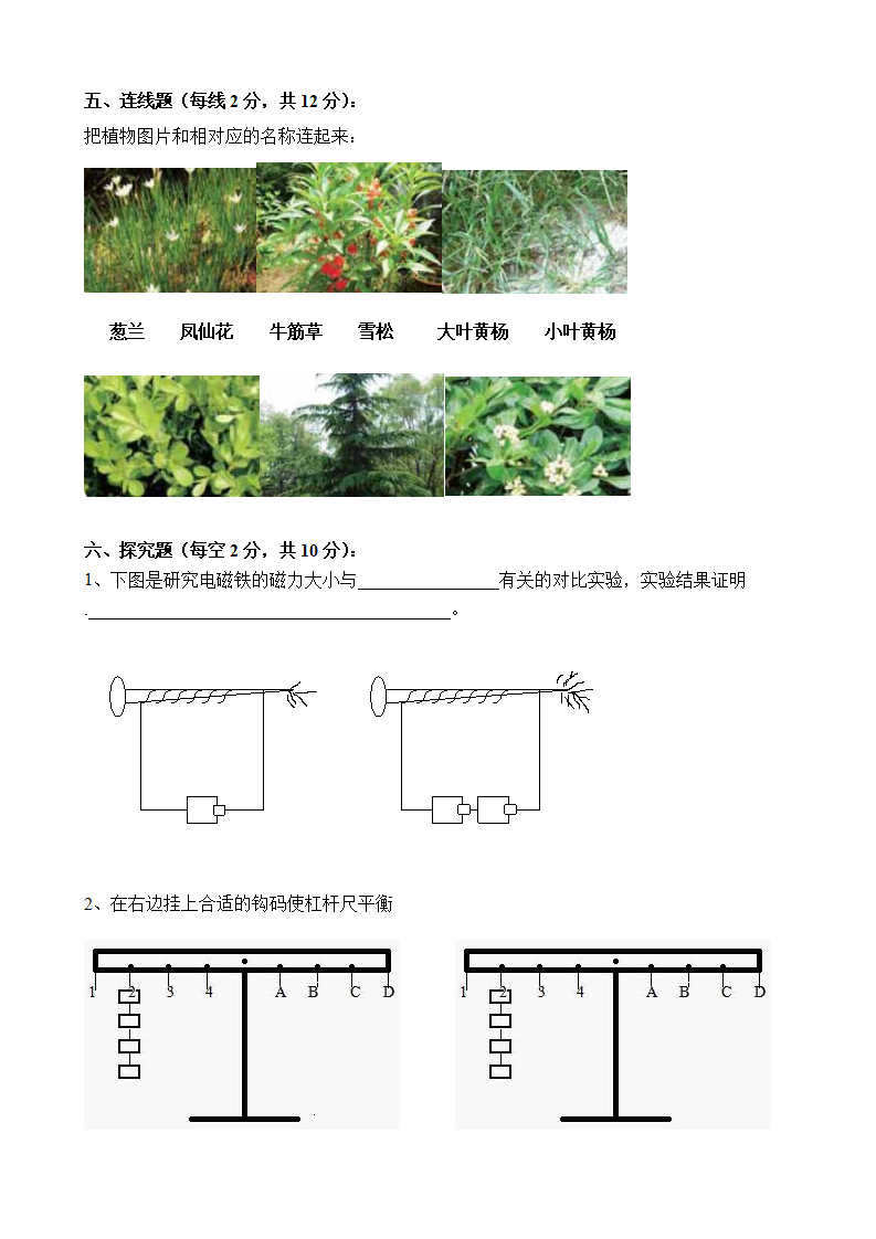 六年级科学命题比赛  邹颖_03.png