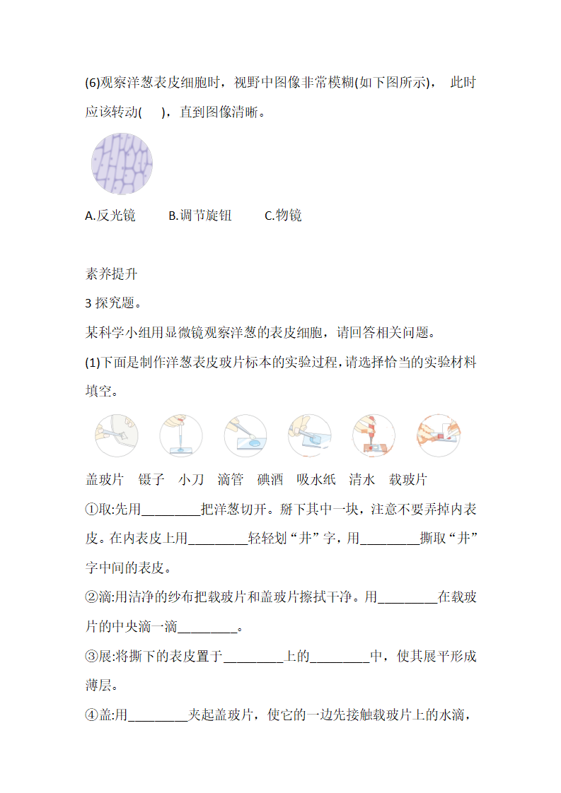1.4 观察洋葱表皮细胞 课时练（含答案）_03.png