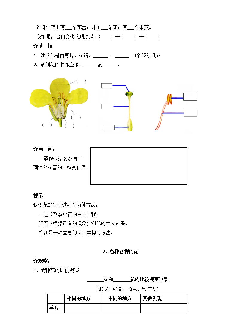 教科版四年级下册科学教案全册_35.png