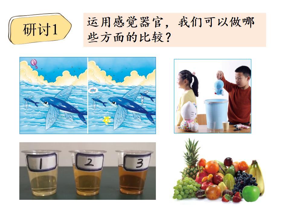 二下2-3《观察与比较》唐芳芳_14.png