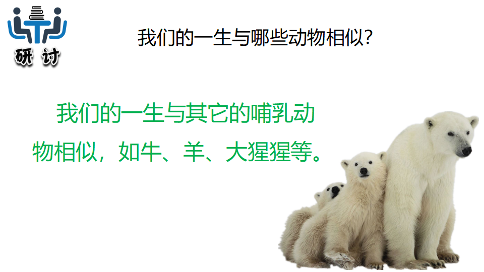 2.8动物的一生_11.png