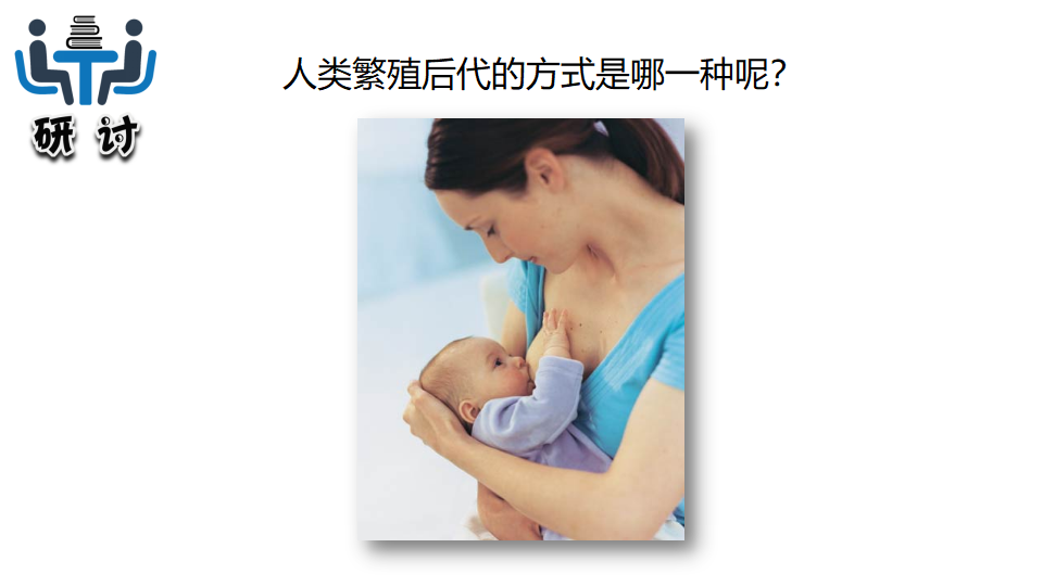 2.7动物的繁殖_11.png