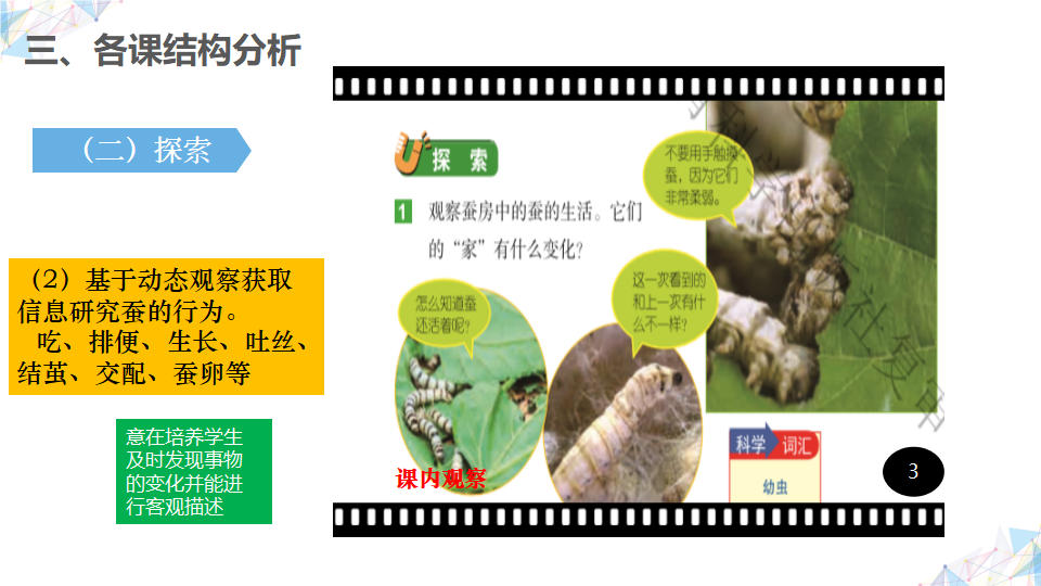 教科版小学《科学》三年级下册《动物的一生》单元解读_37.png