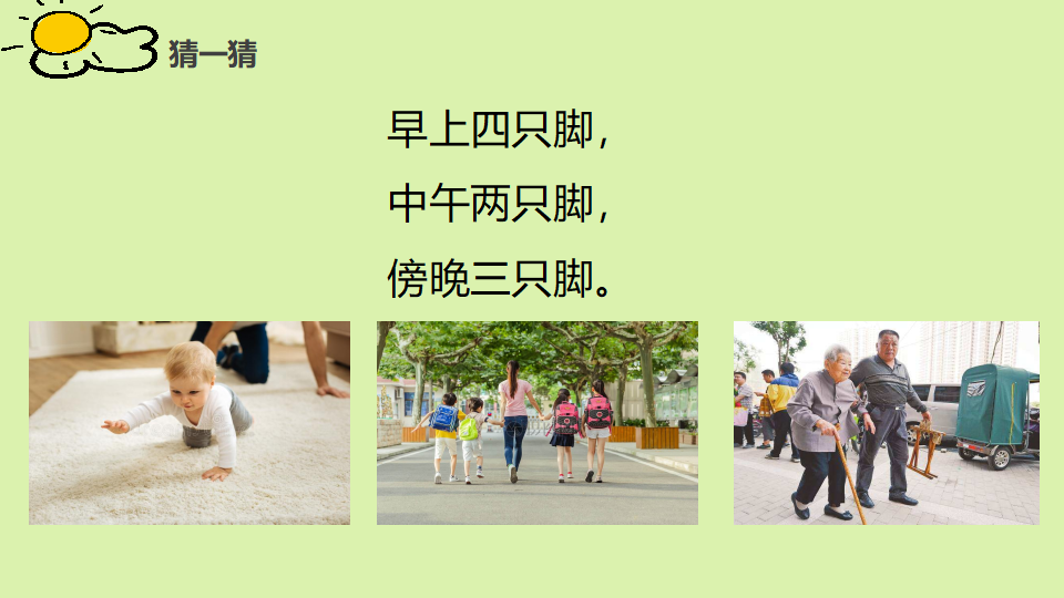 教科版三年级下册科学《迎接蚕宝宝的到来》教学课件_02.png