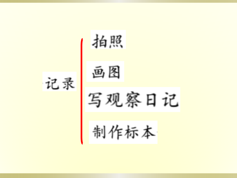 教科版三年级下册科学《蚕长大了》教学课件_03.png