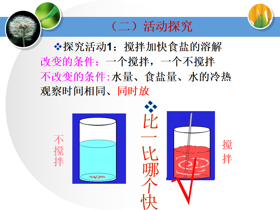 教科小学科学四上《2.5、溶解的快与慢》PPT课件1_09.png
