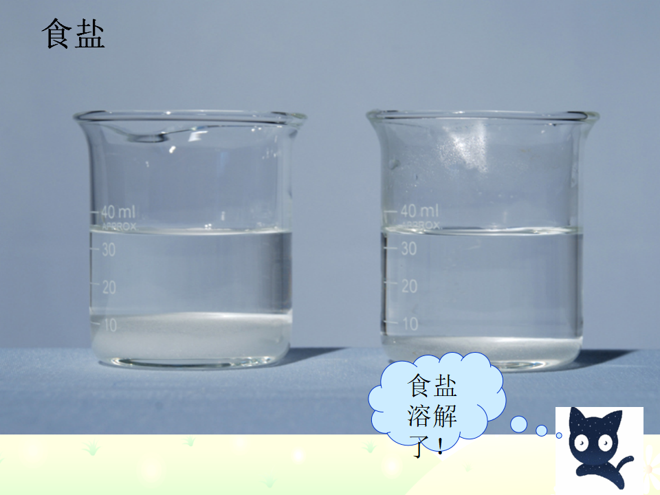 教科小学科学四上《2.1、水能溶解一些物质》PPT课件11_04.png